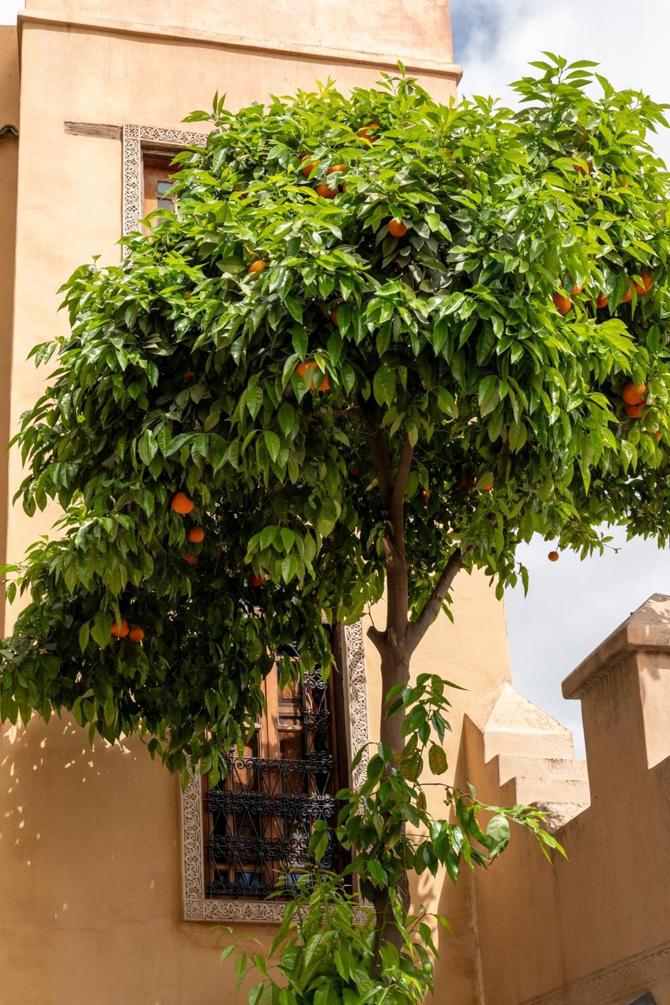 Riad Layalina Fès Exterior foto